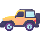 Vehicle Insurance Icon