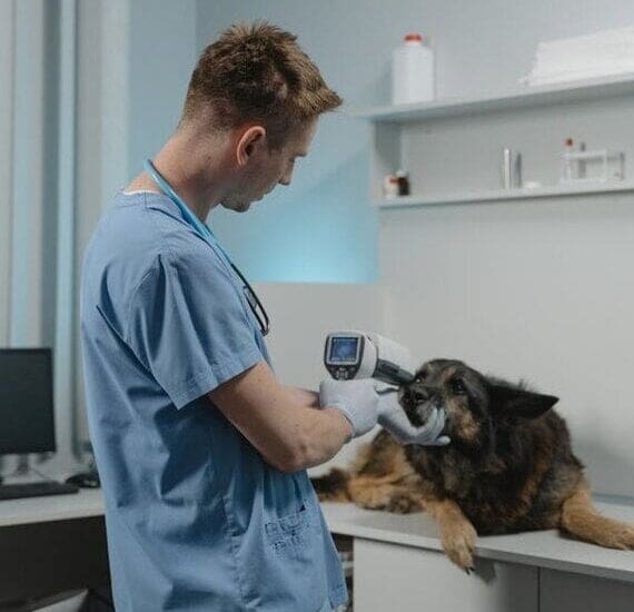 Best Business Loans For Healthcare Professionals